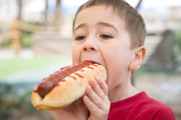 Little boy eats a huge hot-dog sandwich