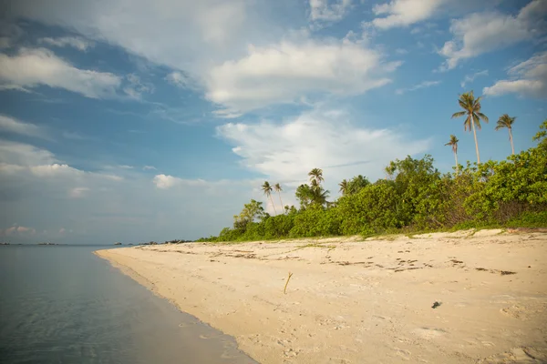 Hermosa playa isla indonesia con palmeras —  Fotos de Stock