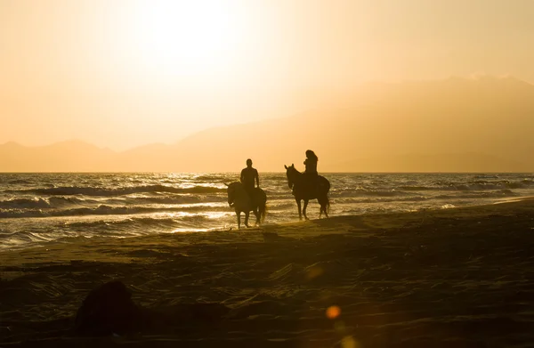 Couple cavalier à la plage du coucher du soleil, à côté de la mer — Photo