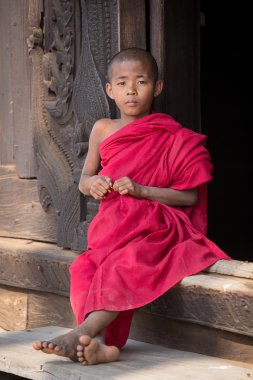 Bir manastırda genç bir keşiş portresi. Mandalay, Myanmar