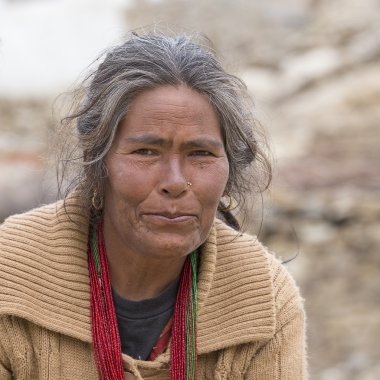 Hintli kadın portre. Leh, Hindistan