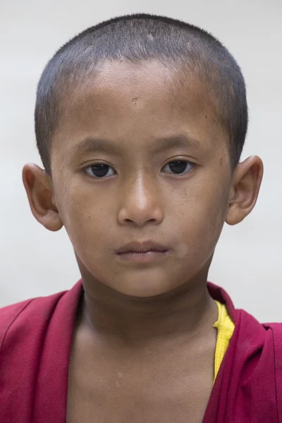 Portré tibeti fiatal szerzetes Ladakh. India — Stock Fotó