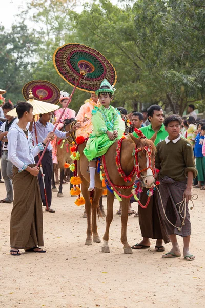 Decorated horse, buffalo and local people who participated in the donation channeled ceremony in Bagan. Myanmar, Burma — Stock Photo, Image