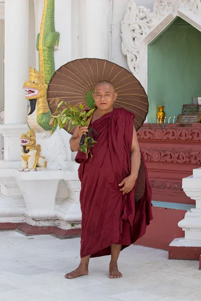 Бирманский монах посещает пагоду Шведагон. Янгон, Мьянма, Бирма — стоковое фото