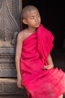 Bir manastırda genç bir keşiş portresi. Mandalay, Myanmar