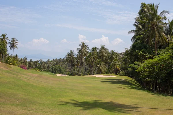 Belo campo de golfe e palmeira. Ilha Koh Samui, Tailândia — Fotografia de Stock