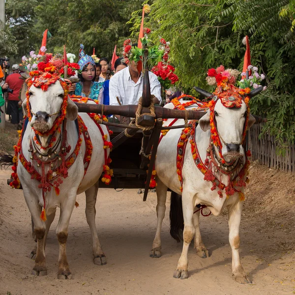 Búfalos decorados e pessoas locais que participaram da cerimônia de doação canalizada em Bagan. Mianmar, Birmânia — Fotografia de Stock