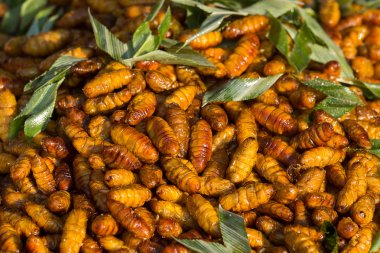 Fried ipekböceği pazarda, Tayland. Yakın çekim