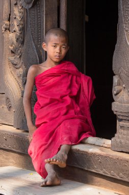 Bir manastırda genç bir keşiş portresi. Mandalay, Myanmar