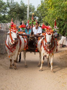 Bir şekilde dekore edilmiş buffalo ve yerel halkın Bagan kanalize bağış törene katıldı. Myanmar, Burma
