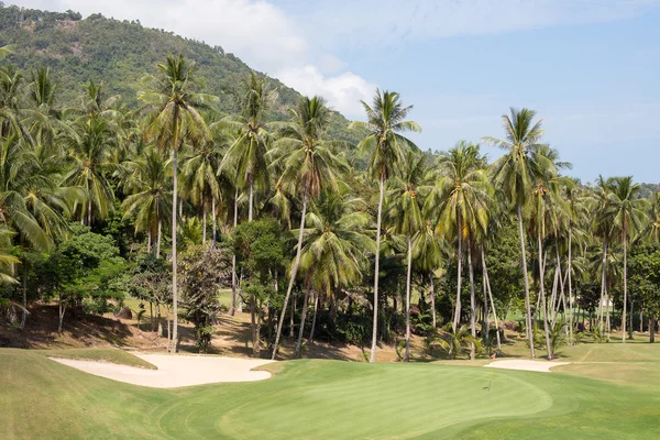 Gyönyörű golfpálya és a pálmafa. Sziget Koh Samui, Thaiföld — Stock Fotó