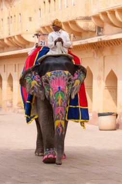 Fil ve fil sürücüsü Amber Fort ayında Jaipur, Rajasthan, Hindistan, yolda dekore edilmiş