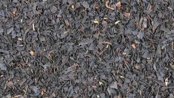 Thé noir de près. Avant de la caméra tourne plaque avec thé noir 