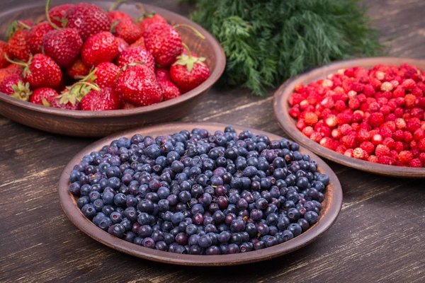 Taze çilek ve yaban mersini, yaban berry. — Stok fotoğraf