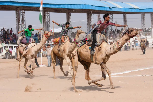 Mela cammelli di Pushkar nel rajasthan, india. — Foto Stock