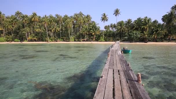 Wooden pier on the beautiful tropical beach with coconut palm tree on the sea — 비디오