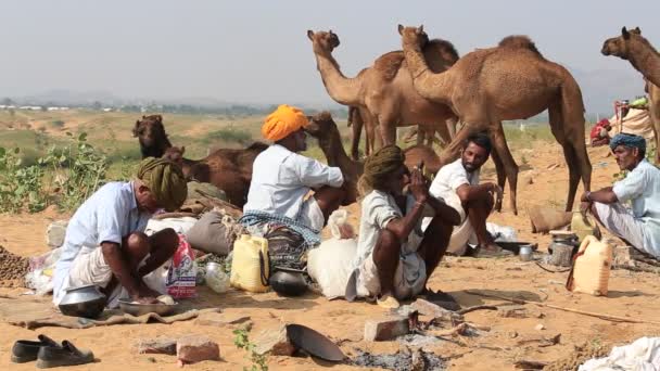 Indische Männer und Herdenkamele nahmen an der alljährlichen Pushkar-Kamelmela teil. Indien — Stockvideo