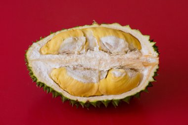 Meyve kralı, durian kırmızı zemin üzerine. Yakın çekim