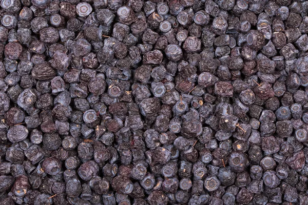 Mirtilos secos em prato, close-up — Fotografia de Stock