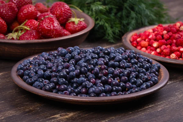 Färska jordgubbar och blåbär, vilda bär. — Stockfoto