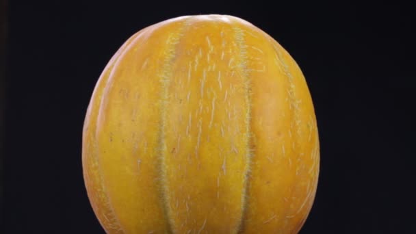 Melone giallo su sfondo nero ruota, da vicino — Video Stock