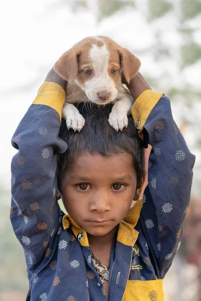 Pushkar India Listopad 2018 Indyjskie Biedne Dziecko Małym Psem Pustyni — Zdjęcie stockowe
