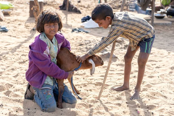 Pushkar India Listopad 2018 Indyjskie Dzieci Kozą Pustyni Thar Time — Zdjęcie stockowe