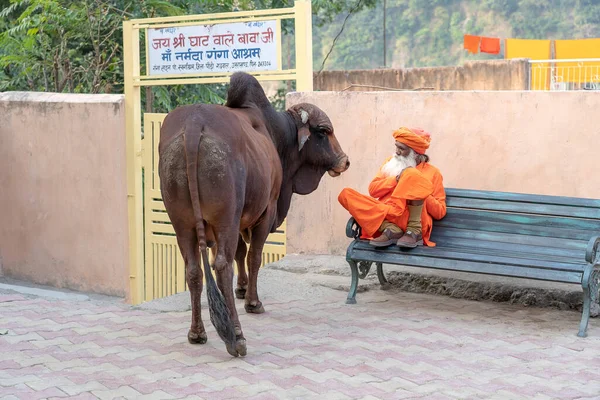 Rishikesh India Noviembre 2018 Hombre Santo Sadhu Hindú Identificado Sienta —  Fotos de Stock