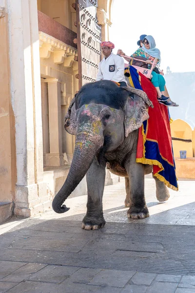 Jaipur India November 2018 Versierde Olifanten Rijden Toeristen Weg Amber — Stockfoto