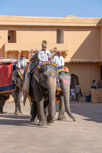 Jaipur India Novembre 2018 Gli Elefanti Decorati Cavalcano Turisti Sulla — Foto Stock