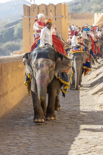 Jaipur India Novembre 2018 Gli Elefanti Decorati Cavalcano Turisti Sulla — Foto Stock