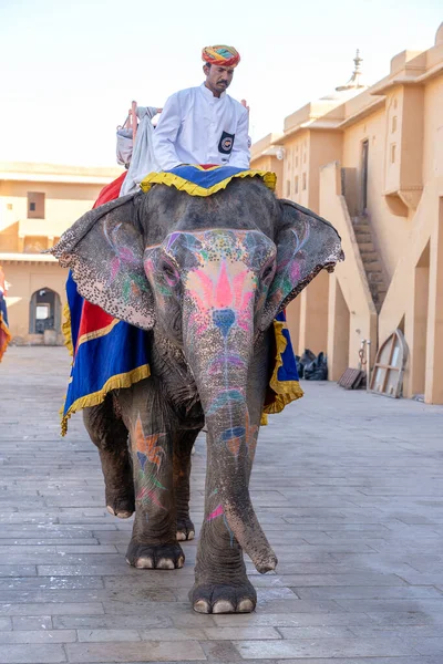 Jaipur India Novembre 2018 Gli Elefanti Decorati Cavalcano Turisti Sulla — Foto Stock