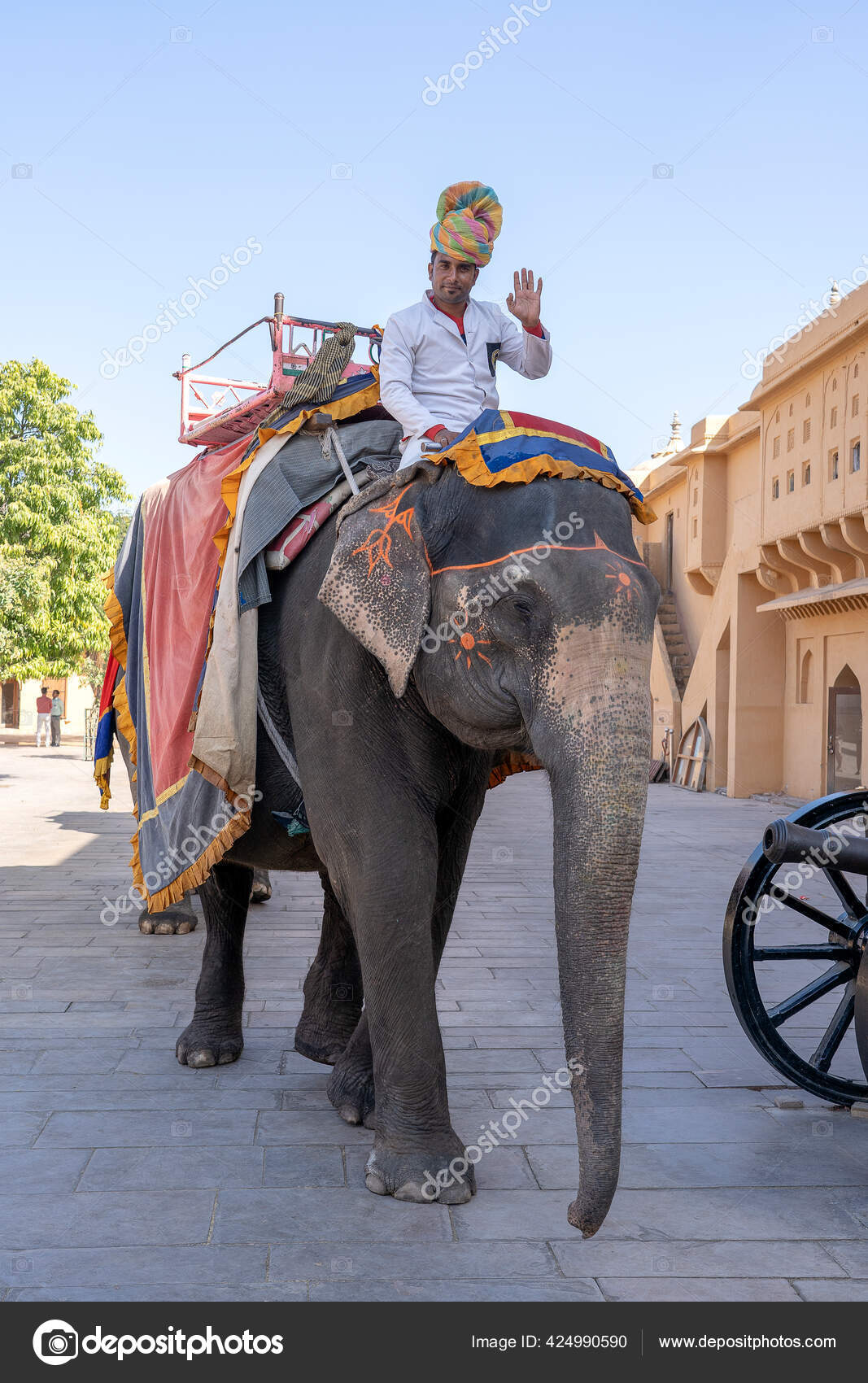 https mx depositphotos com 424990590 stock photo jaipur india november 2018 decorated html