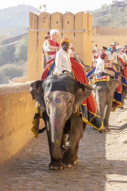 JAIPUR, INDIA - 26 Kasım 2018: Madalyalı filler eski Hindistan 'ın Rajasthan kentindeki Jaipur kentindeki Amber Kalesi' nde turistlere biniyorlar