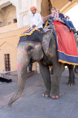 JAIPUR, INDIA - 26 Kasım 2018: Madalyalı filler eski Hindistan 'ın Rajasthan kentindeki Jaipur kentindeki Amber Kalesi' nde turistlere biniyorlar