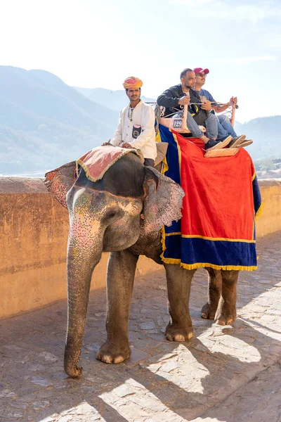 Jaipur India Listopadu 2018 Dekorovaní Sloni Jezdí Turistech Silnici Amber — Stock fotografie