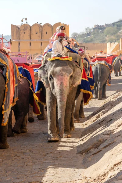 Jaipur India Novembre 2018 Gli Elefanti Decorati Cavalcano Turisti Sulla — Foto Stock