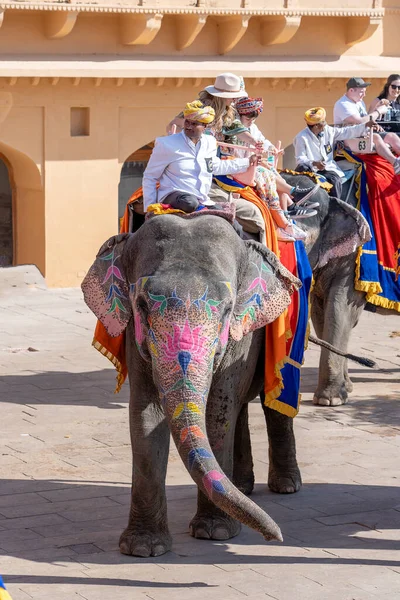 Jaipur India Novembre 2018 Gli Elefanti Decorati Cavalcano Turisti Sulla — Foto Stock