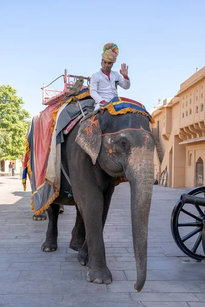 Jaipur India November 2018 Versierde Olifanten Rijden Toeristen Weg Amber — Stockfoto