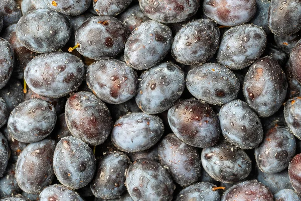 Hel Del Färska Blå Plommon Frukt Med Vattendroppar Textur Bakgrund — Stockfoto