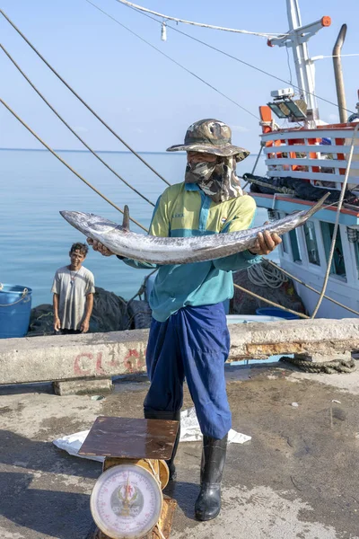 Koh Phangan Thailand February 2019 Thai Fisherman Shows Caught Big — Stock Photo, Image