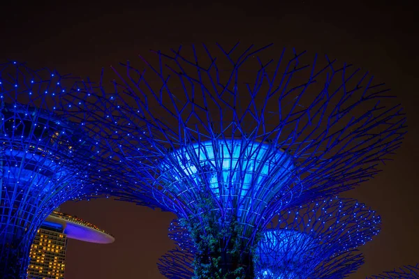 Singapur City Singapur März 2019 Super Bäume Gardens Marina Bay — Stockfoto