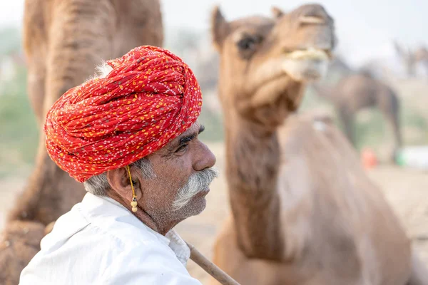 Pushkar India November 2018 Indian Man Desert Thar Pushkar Camel — Stock Photo, Image