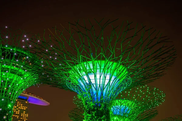 Singapore City Singapore Marca 2019 Super Drzewa Ogrodach Przy Zatoce — Zdjęcie stockowe