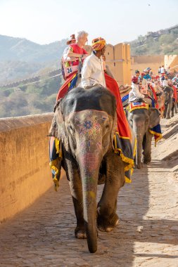 JAIPUR, INDIA - 26 Kasım 2018: Madalyalı filler eski Hindistan 'ın Rajasthan kentindeki Jaipur kentindeki Amber Kalesi' nde turistlere biniyorlar