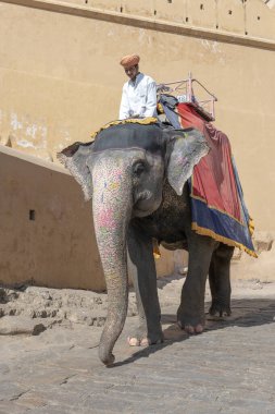 JAIPUR, INDIA - 26 Kasım 2018: Madalyalı filler eski Hindistan 'ın Rajasthan kentindeki Jaipur kentindeki Amber Kalesi' nde turistlere biniyorlar