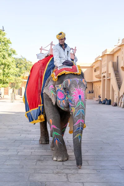 Jaipur India Listopadu 2018 Dekorovaní Sloni Jezdí Turistech Silnici Amber — Stock fotografie