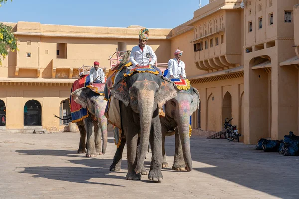 2018年11月26日 拉贾斯坦邦 斋浦尔古城 装饰过的大象骑着游客走在琥珀堡的路上 — 图库照片