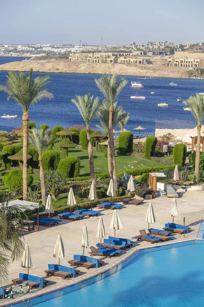 Sharm Sheikh Egypt Mei 2018 Zwembad Vroeg Ochtend Naast Rode — Stockfoto