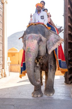 JAIPUR, INDIA - 26 Kasım 2018: Madalyalı filler eski Hindistan 'ın Rajasthan kentindeki Jaipur kentindeki Amber Kalesi' nde turistlere biniyorlar